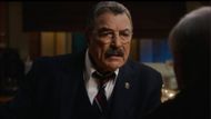 Reagans serve in the police department (Image Source: Instagram @bluebloods_cbs)
